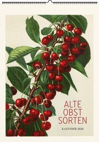 Alte Obstsorten. Wandkalender 2026