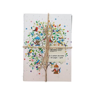 Sešit A6 3KS PPSETA659G01 BUG ART PORTFOLIO KIUB