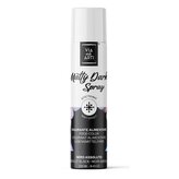 Matná barva ve spreji černá 250 ml - Solchim Food