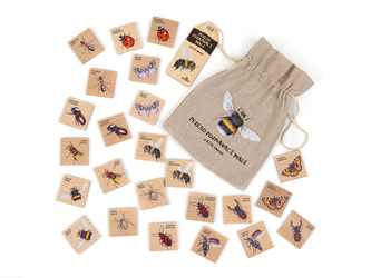 Lesní svět Pexeso poznávací malé - Z říše hmyzu