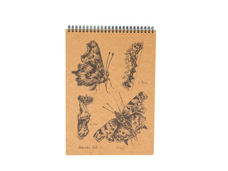 Lesní svět Eko blok z recy papíru L - Babočka bílé C