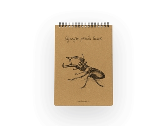 Lesní svět Eko blok z recy papíru M - Roháč