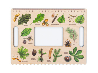 Lesní svět Okénko Hravého BADATELE - Stromy