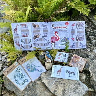 Lesní svět Balíček divočina