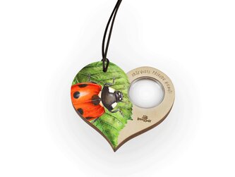 Lesní svět Lupa - Slunéčko