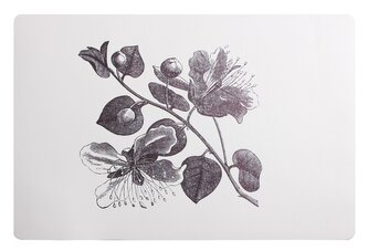 Prostírání CAPERS 28,5x43 cm Mybesthome