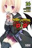 High School DXD, Vol. 16 (Light Novel)