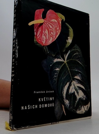 Květiny našich domovů