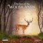 Dwellers of the Woodlands 2026