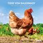 Tiere vom Bauernhof 2026