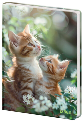 Památník A5 13x18 cm čistý Tabby