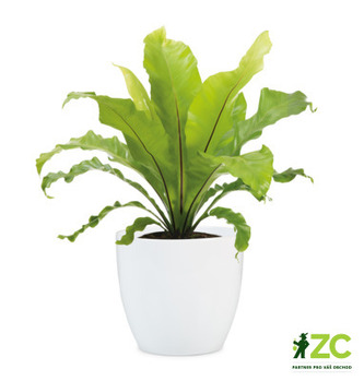 Obal 920 Alaska bílý lesk 11