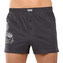 Pánské trenky Andrie vícebarevné (PS 5853-grey) M