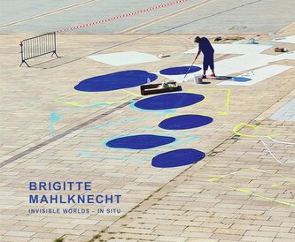 Invisible Worlds - in situ