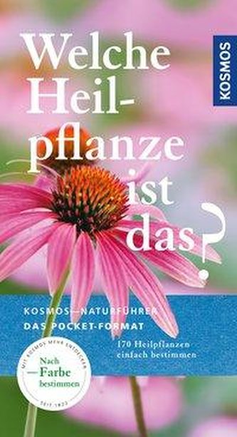 Welche Heilpflanze ist das?