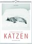 Katzen - Literarisch durchs Jahr 2026