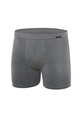 Bokserki Cornette Authentic Perfect 220 S-2XL khaki M