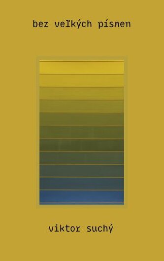 bez veľkých písmen