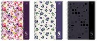 Kołozeszyt B5/160K kratka 5 kol registrów (5szt)