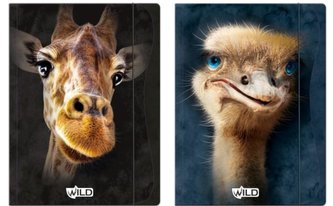 Teczka z gumką A4 Wild mix