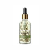 LeFleur 100% přírodní esenciální olej Eukalyptus  s výhonky rostliny - 30 ml