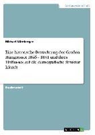 Eine historische Betrachtung der Großen Hungersnot 1846 - 1851 und ihres Einflusses auf die demografische Struktur Irlands