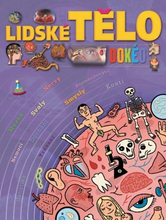 Lidské tělo