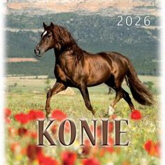 Kalendarz 2026 wieloplanszowy 33x33cm Konie