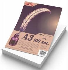 Brystol A3 250g 100 ark