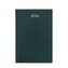 Terminarz 2026 dzienny A5 Divas zielony