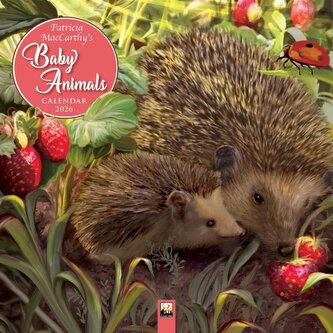 Patricia MacCarthy's Beautiful Babies - Wunderschöne Tierbabys 2026 - Original Flame Tree Publishing-Kalender [Kalender]