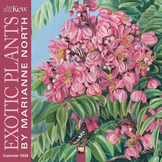 Marianne North, Exotic Plants - Exotische Pflanzen 2026 - Original Flame Tree Publishing-Kalender [Kalender]