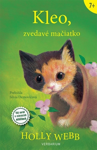 Kleo, zvedavé mačiatko