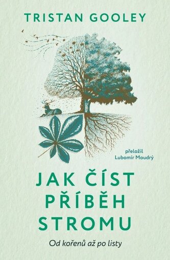 Jak číst příběh stromu - Od kořenů až po listy