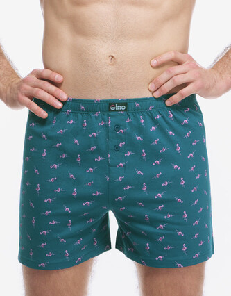 Pánské trenky Gino zelené (75217-DZMDFR) XL