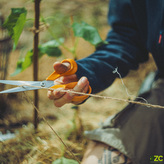 Nůžky FISKARS CLASSIC univerzální 21cm 1075031