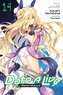 Date a Live, Vol. 14 (Light Novel)