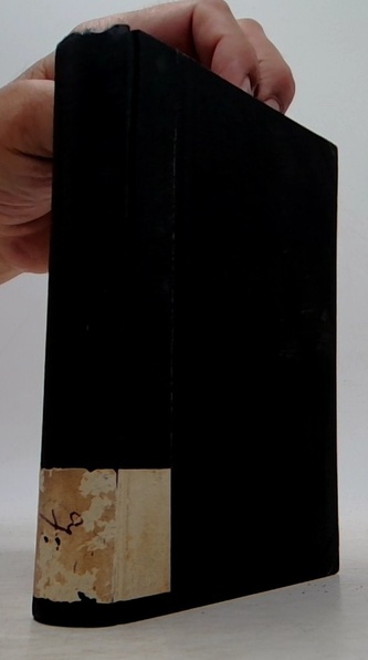 Nevěsta za padesát dollarů (českoamerický obrázek z Chicaga)