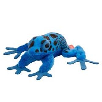 Żaba drzewołaz malarski niebieski 10cm