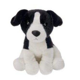 Pies Border Colie 25cm