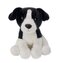 Pies Border Colie 25cm