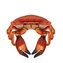 Krab słonowodny 26cm