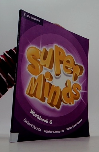 Super Minds 6 Workbook