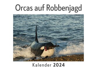 Orcas auf Robbenjagd (Wandkalender 2024, Kalender DIN A4 quer, Monatskalender im Querformat mit Kalendarium, Das perfekte Gesche