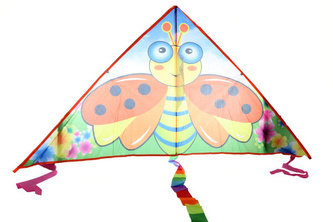 Drak létací Veselá beruška nylon