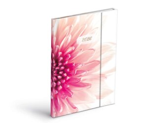 diář 2026 T805 Lamino 2 s magnetem 7781466