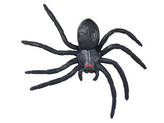 pavouk plast 7cm 12ks 1042571