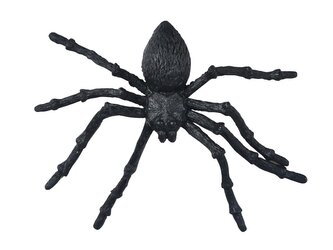 pavouk plast 11,5cm 2ks 1042568