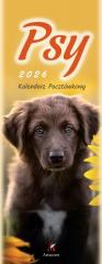 Kalendarz 2026 pocztówkowy 12,5x33cm Psy