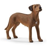 Rodézsky ridgeback